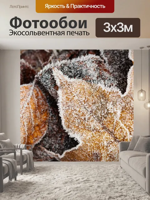 Фотообои иней на листьях
