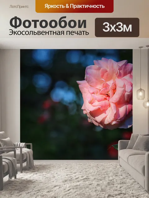 Фотообои Роза