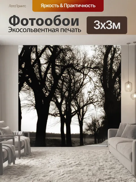 Фотообои Дорога