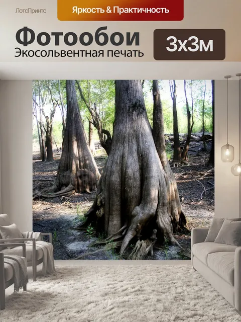 Фотообои Уникальные деревья 2