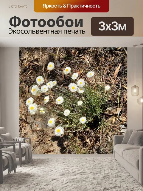Фотообои Полевые цветы
