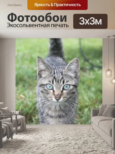 Фотообои Кошка