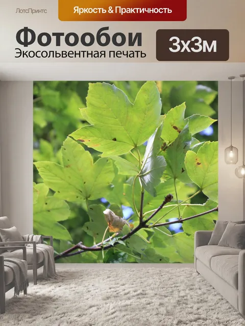 Фотообои Листья
