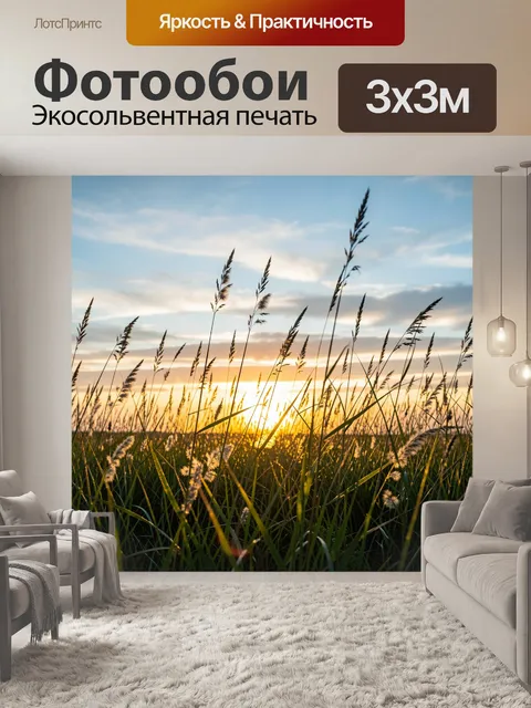Фотообои Травы на закате у горизонта