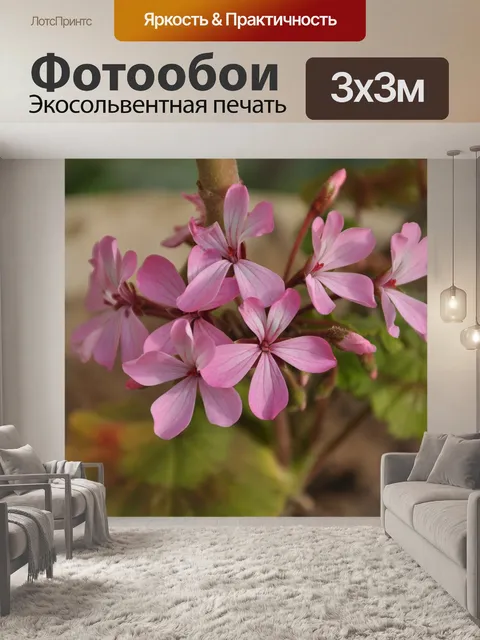 Фотообои Розы