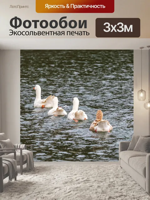 Фотообои Гусь