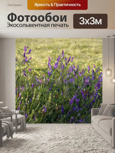 Фотообои Пчелиное пастбище Фацелия цветы поле