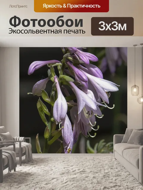 Фотообои Розовый