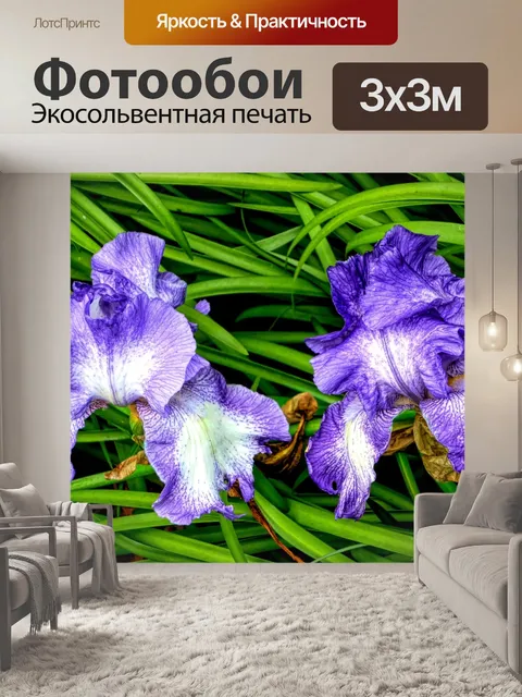 Фотообои Цветы