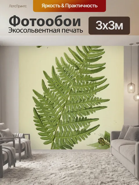 Фотообои Старинные ботанические растения папоротн