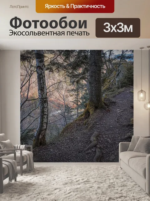 Фотообои Дорожка