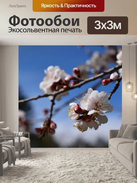 Фотообои Белые цветки
