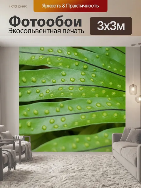 Фотообои Зеленый