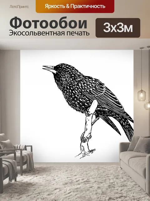 Фотообои Птица, Старлинг Иллюстрация Клипарт