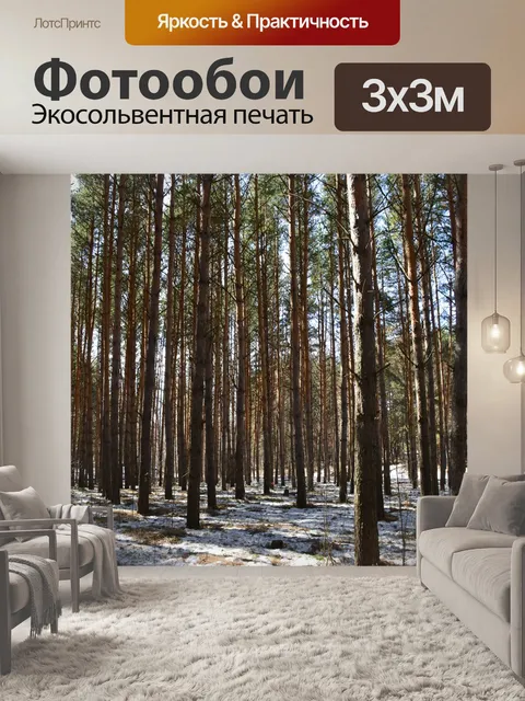 Фотообои Сосны