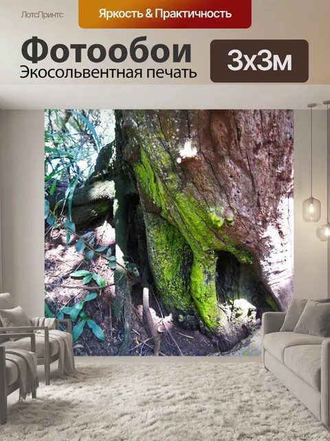 Фотообои зеленый мох, растущий на дереве
