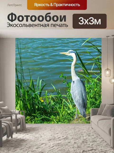Фотообои Птица