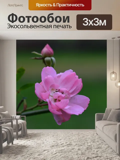 Фотообои Розы