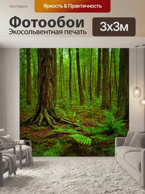 Фотообои лес с необычными растениями и деревьями с уникальной корой