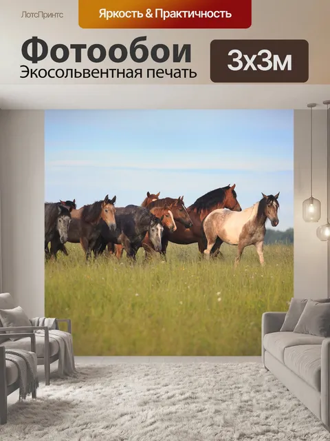 Фотообои Лошади
