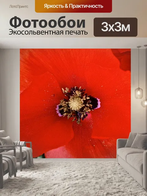 Фотообои Цветы
