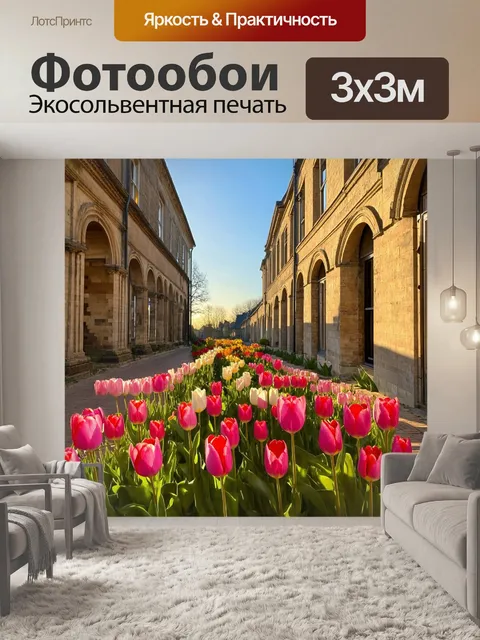 Фотообои тюльпаны, обрамленные старинными зданиями и улочками, в вечернем свете с длинными тенями и теплой атмосферой