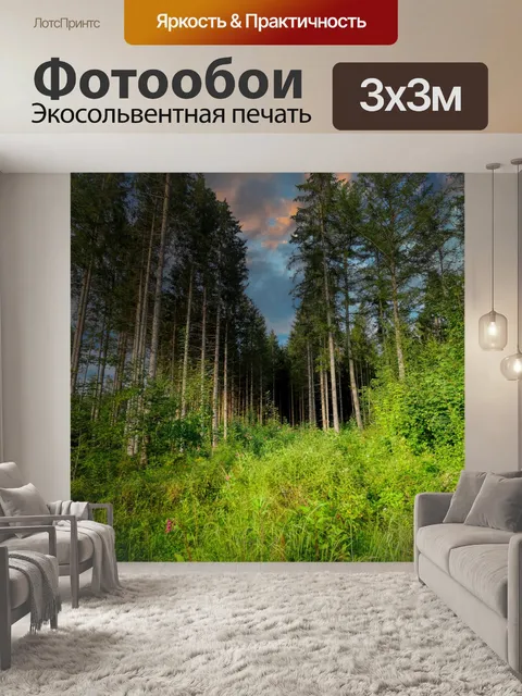 Фотообои Валка
