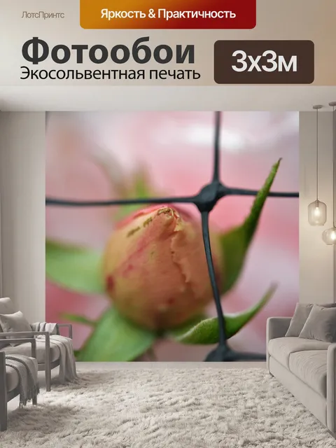 Фотообои Роза