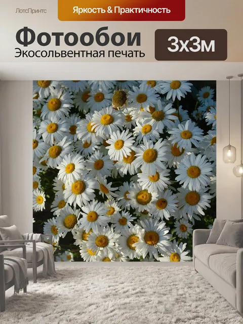 Фотообои Ромашки