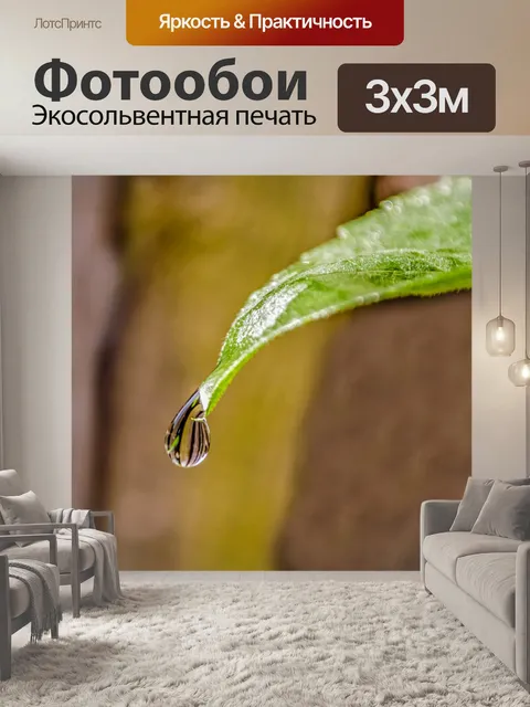 Фотообои Капля воды на листе