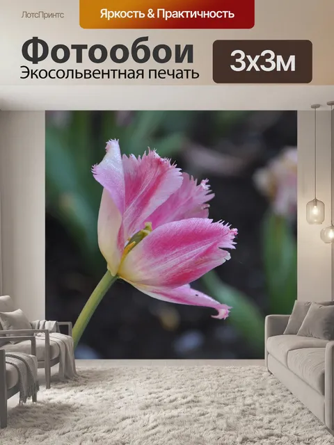 Фотообои Цветы
