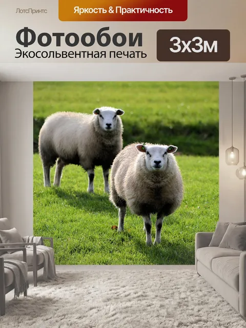 Фотообои Привет