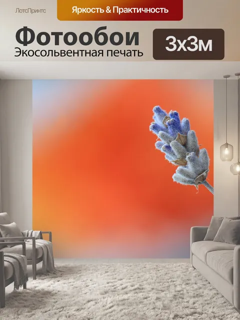 Фотообои Лаванда