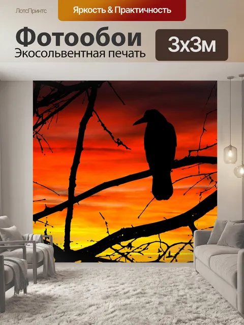 Фотообои Птица на закате Силуэт