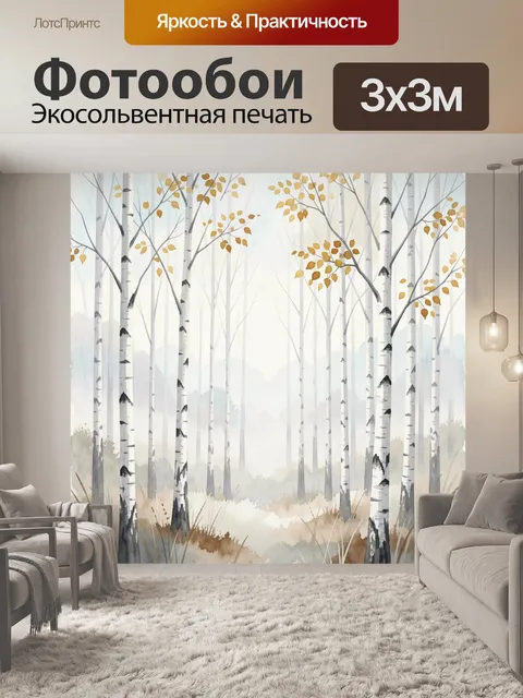 Фотообои Осенний берёзовый лес в тумане