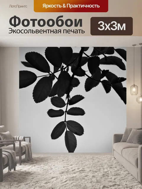 Фотообои Розовый куст листья на небо в б &amp; W