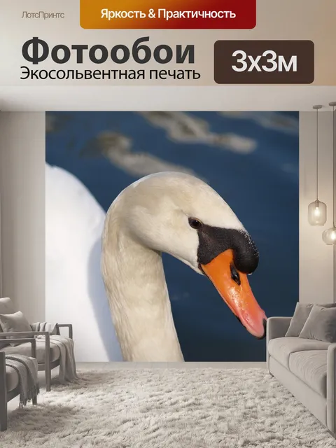 Фотообои Птица