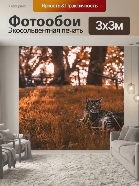 Фотообои Кошка