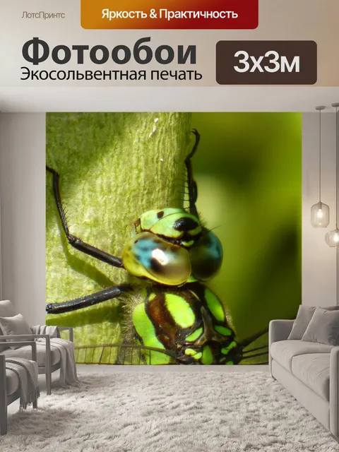 Фотообои Стрекоза голова