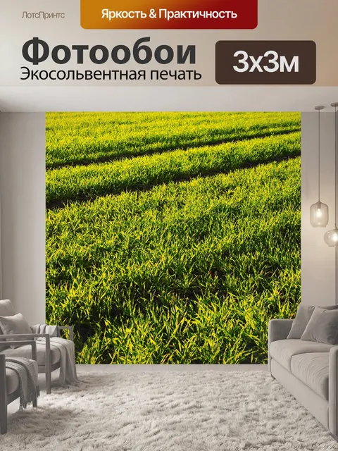 Фотообои Семя
