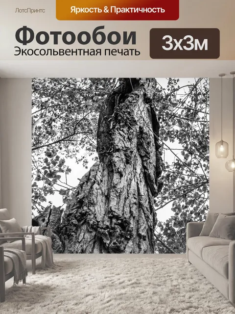 Фотообои Дерево
