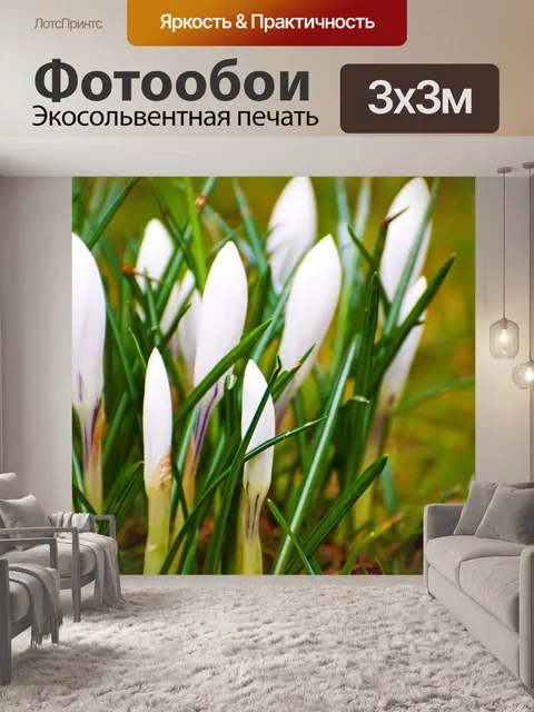 Фотообои Белые весенние цветы