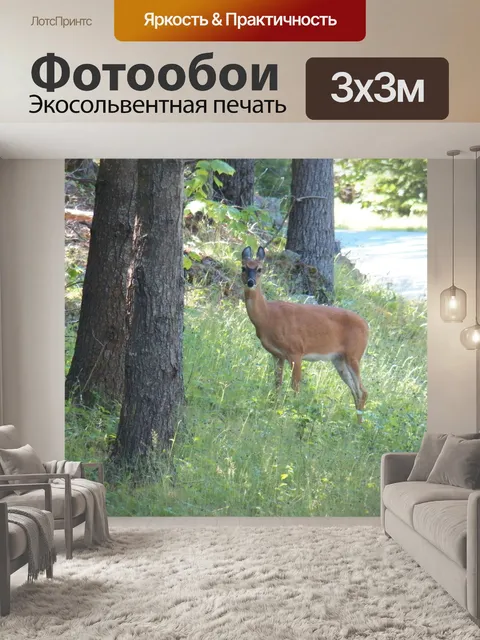 Фотообои олень