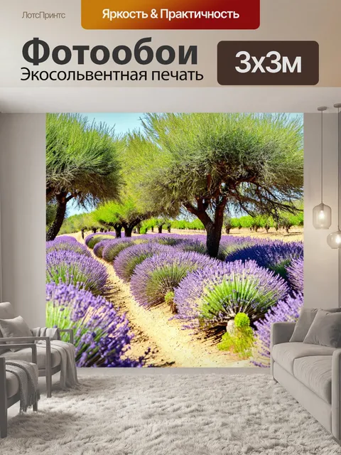 Фотообои природа прованса с лавандами и оливковыми деревьями