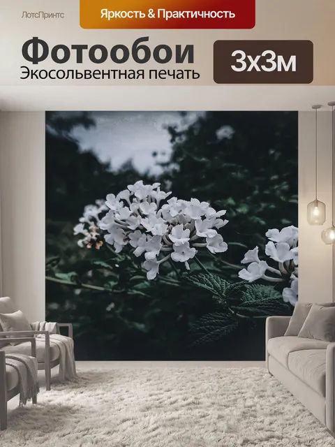 Фотообои Цветок