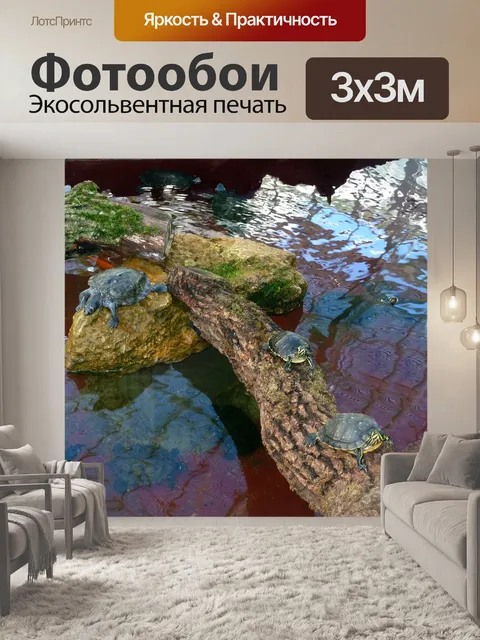 Фотообои Черепахи