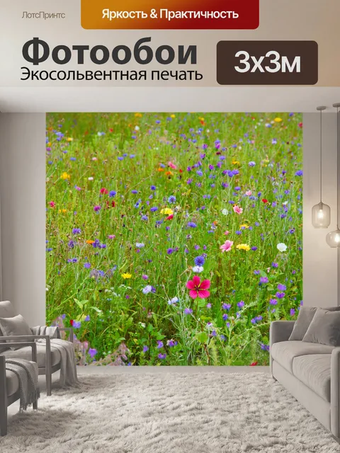 Фотообои красочные полевые цветы