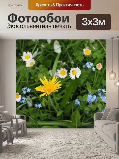 Фотообои Луговые цветы