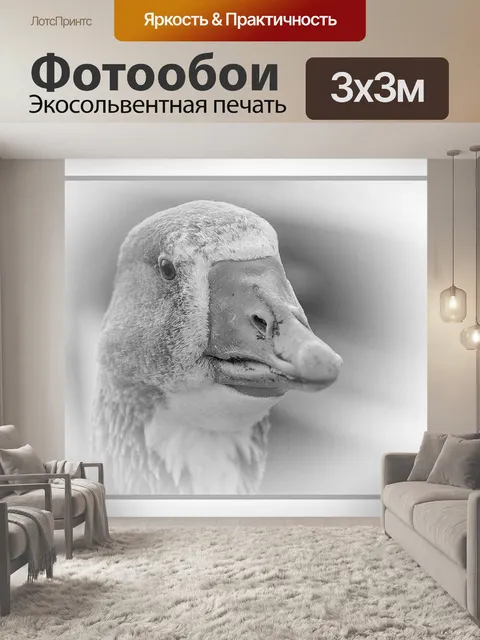 Фотообои Гусь