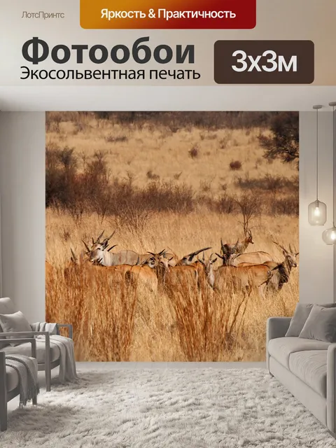 Фотообои канна стадо антилоп в высокой траве